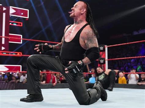 undertaker height